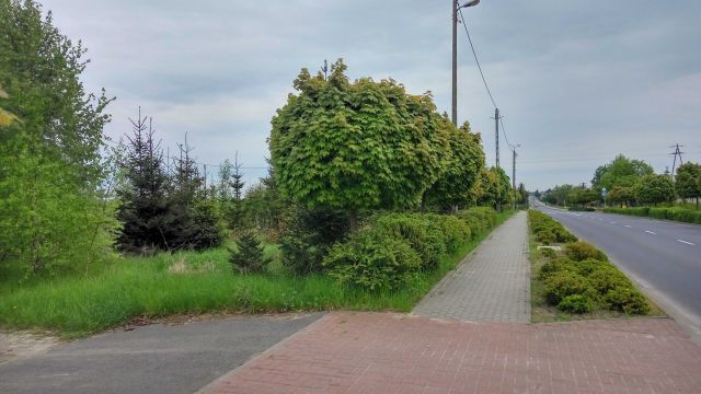 Działka budowlana Wapno, ul. Solna. Zdjęcie 1