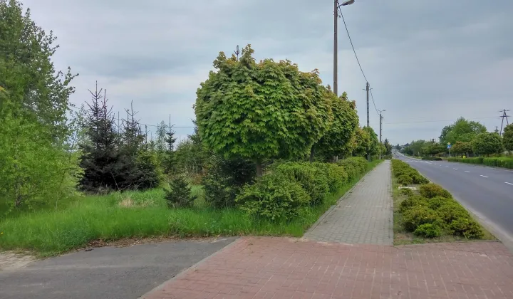 Działka budowlana Wapno, ul. Solna