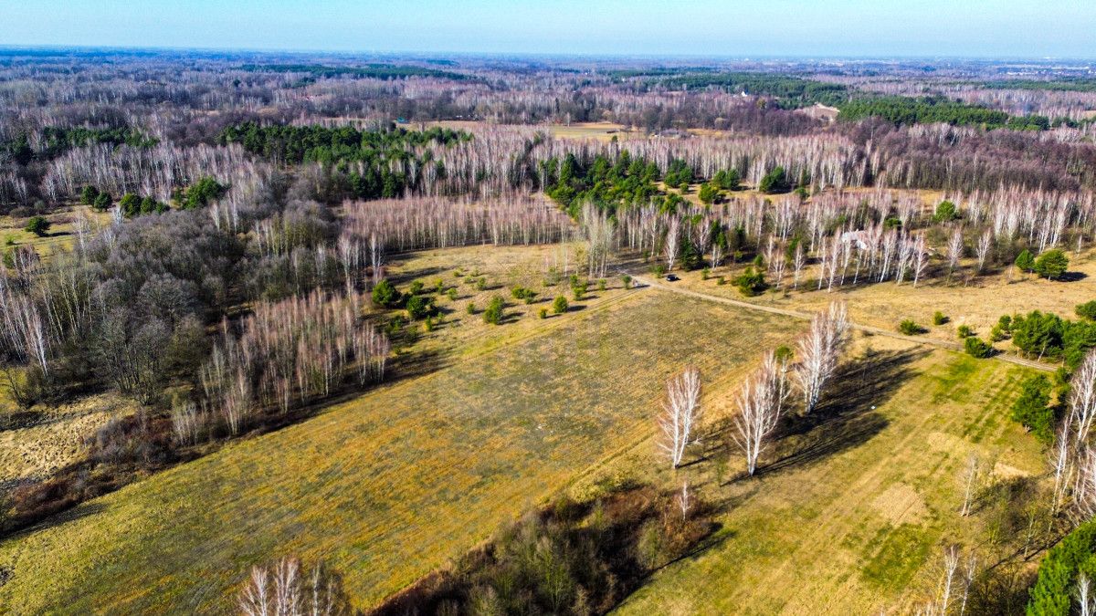 Działka rolna Stare Budy Radziejowskie. Zdjęcie 2
