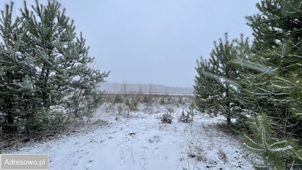 Działka budowlana Siestrzeń. Zdjęcie 17