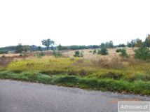 Działka rolna Cegielnia. Zdjęcie 2