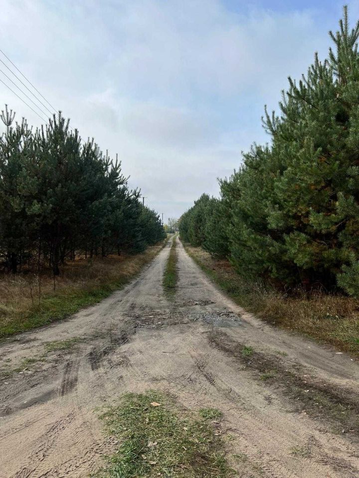 Działka rolno-budowlana Krogule. Zdjęcie 6