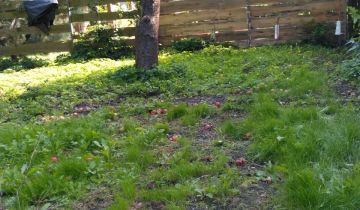 Działka rod Łódź Nowe Rokicie