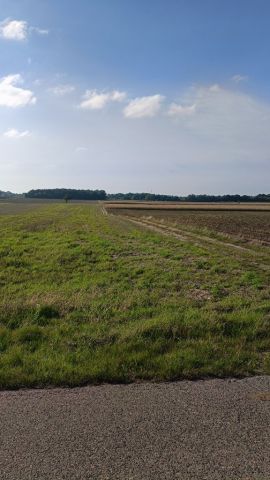 Działka budowlana Pruszków. Zdjęcie 1