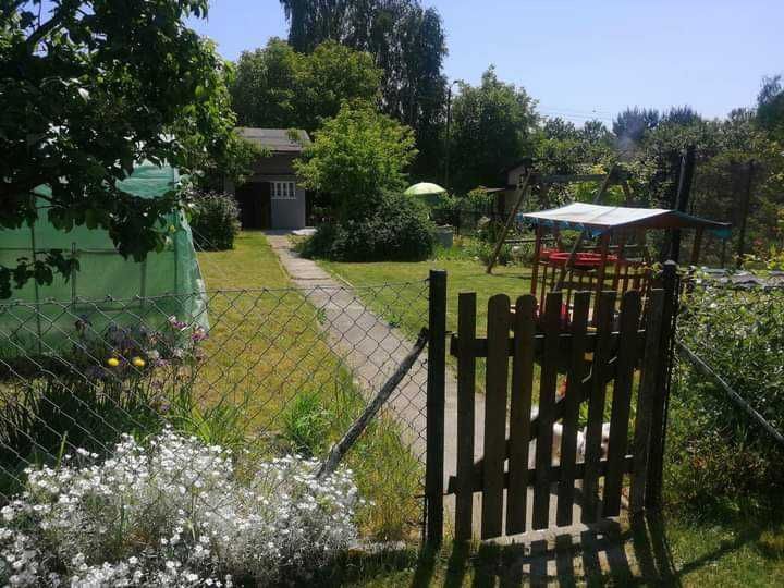 Działka rod Rybnik, ul. Wincentego Witosa. Zdjęcie 1