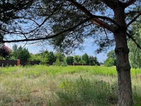 Działka budowlana Brwilno, ul. Kalinowa. Zdjęcie 7