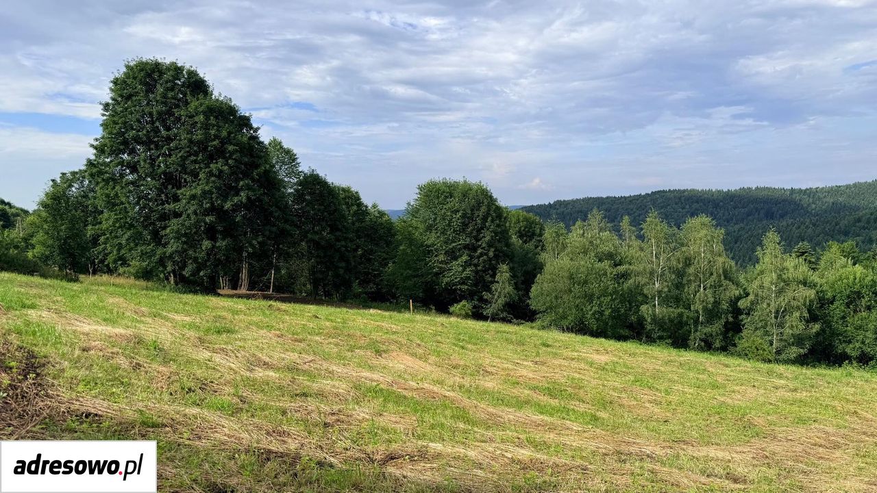 Działka rolno-budowlana Sucha Beskidzka, ul. Zasypnica. Zdjęcie 5