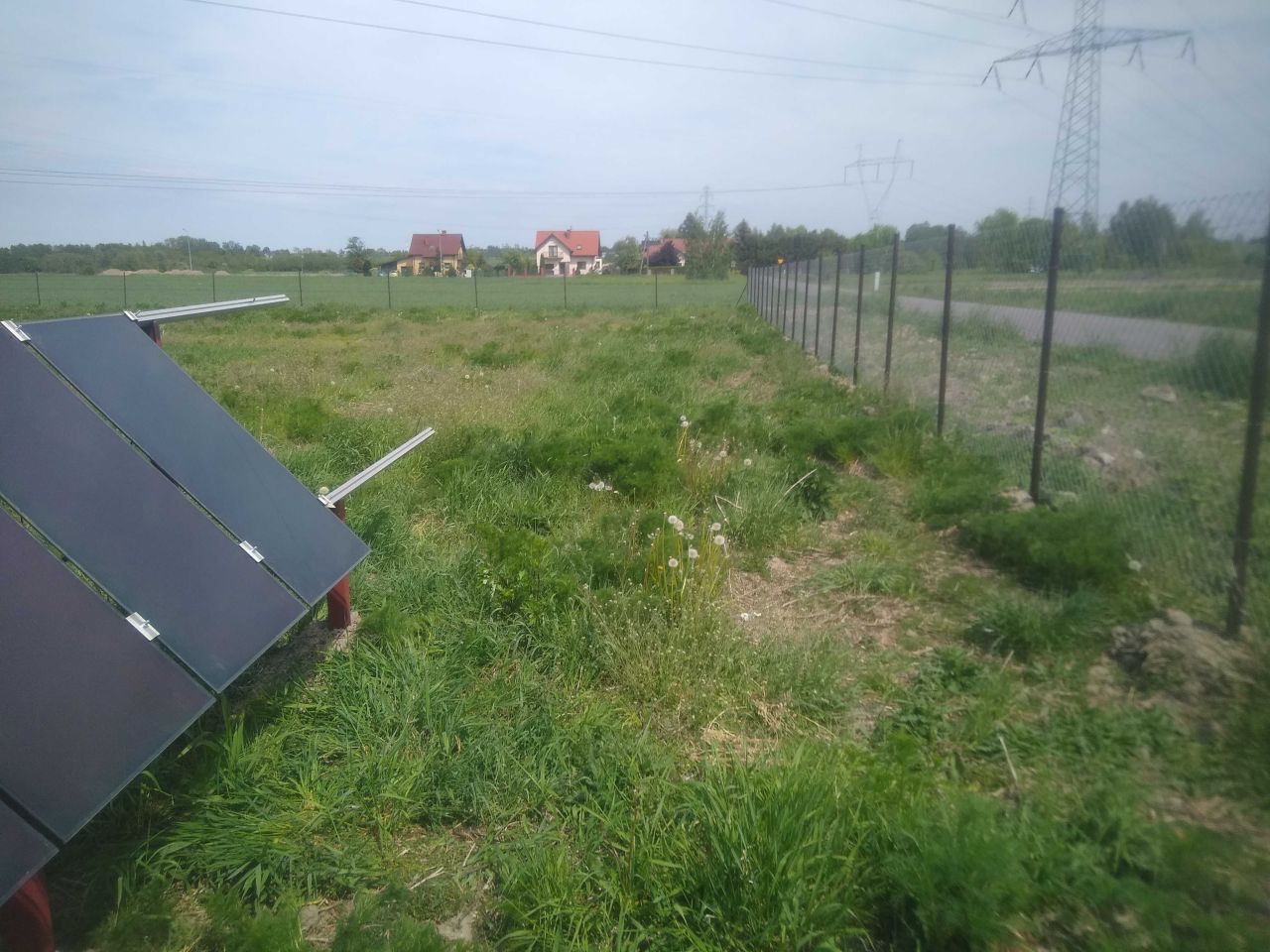 Działka rolno-budowlana Szynkielew. Zdjęcie 7