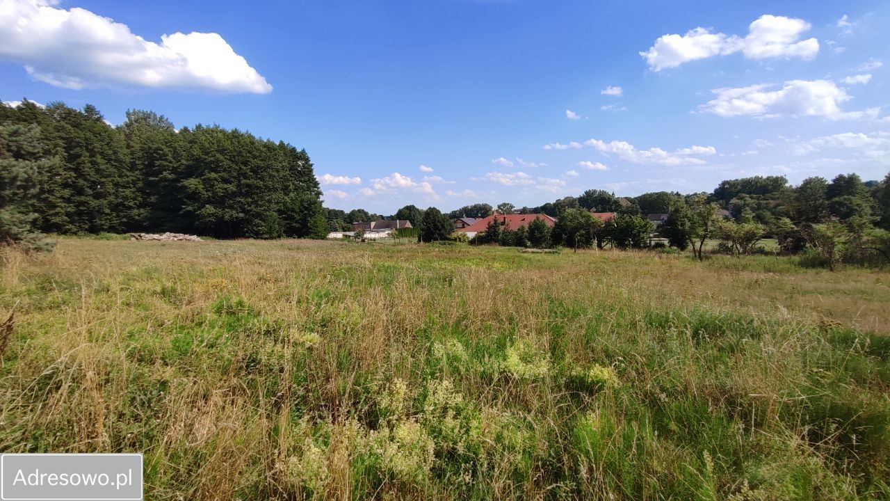 Działka rolna Zielona Góra Nowy Kisielin, ul. Nowy Kisielin-Dolna. Zdjęcie 10