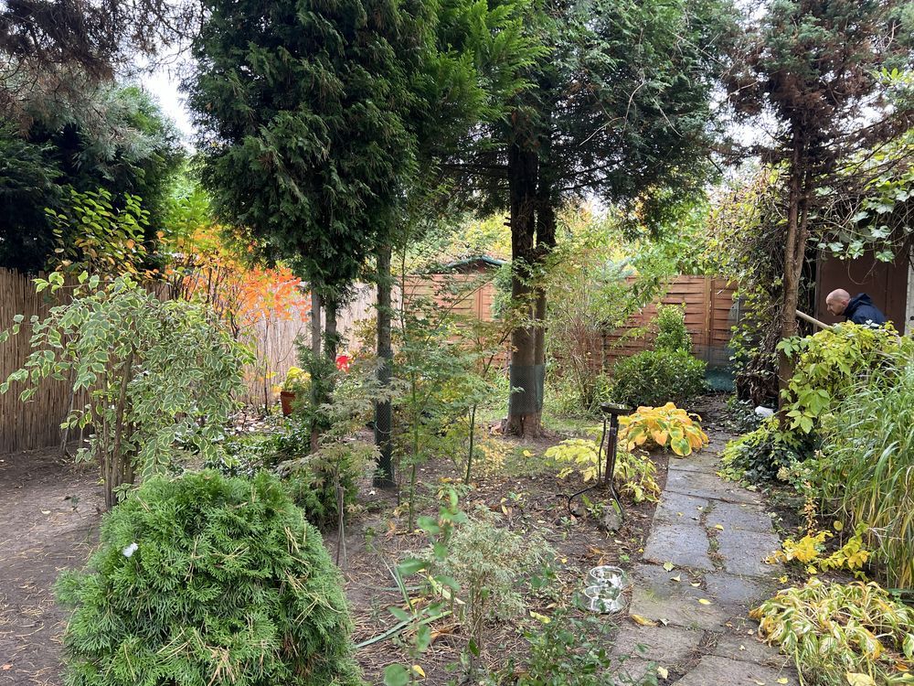 Działka rod Dąbrowa Górnicza, ul. Tysiąclecia. Zdjęcie 5