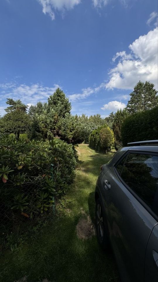 Działka rod Tuszyn Tuszyn-Las. Zdjęcie 2