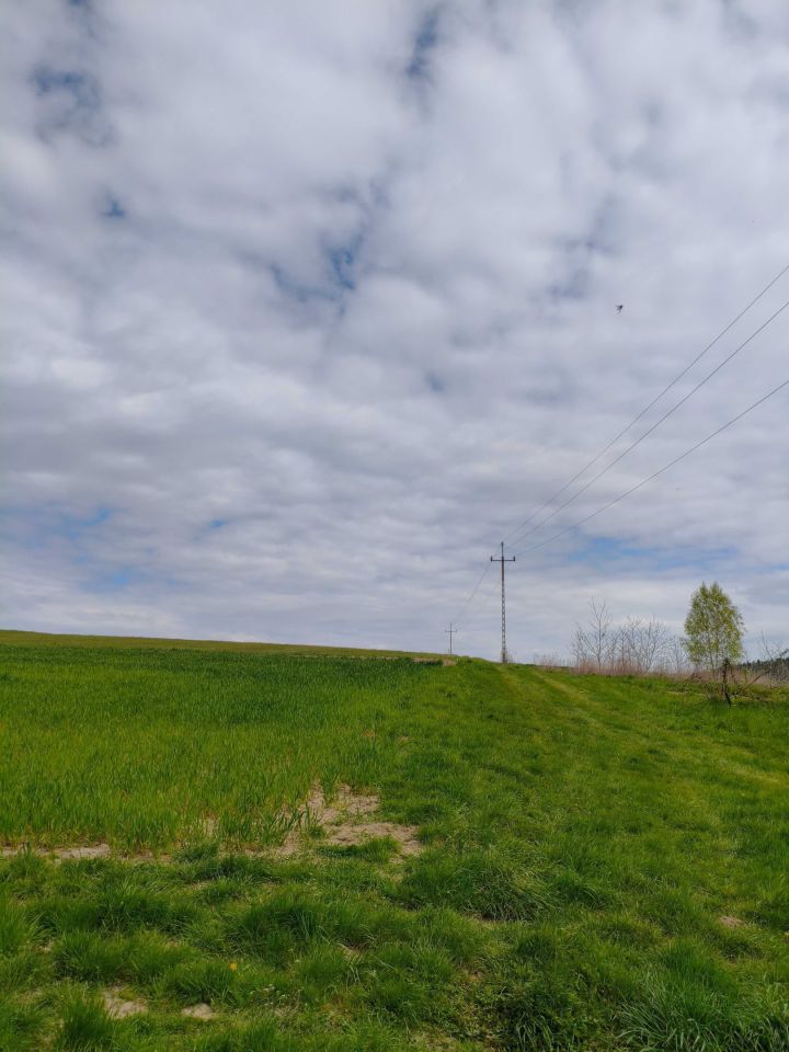 Działka rolna Rożnów. Zdjęcie 4