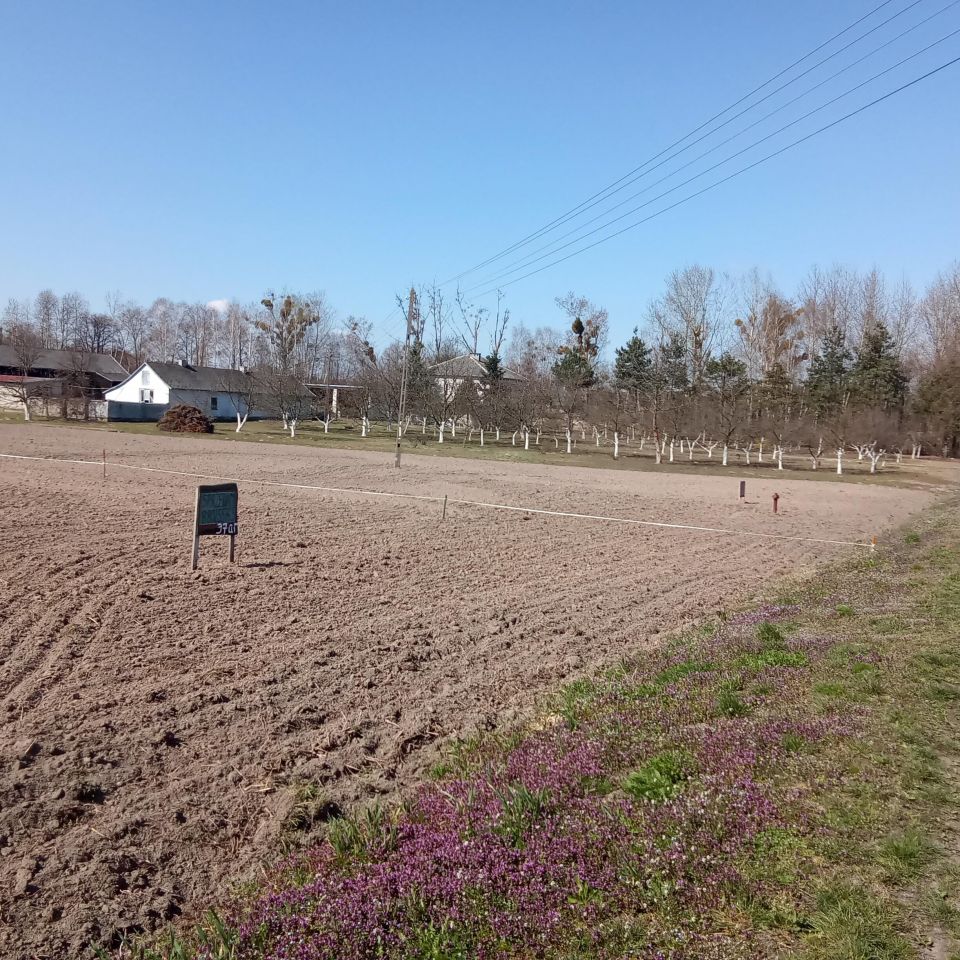 Działka budowlana Helenów. Zdjęcie 8