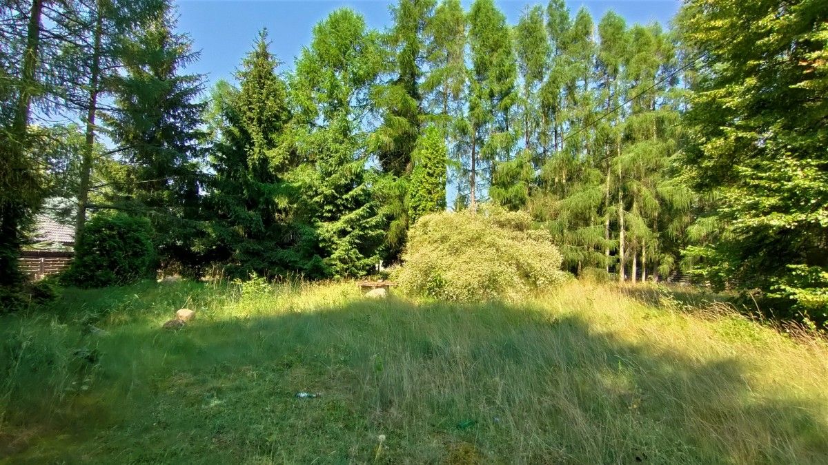 Działka rekreacyjna Żurawieniec