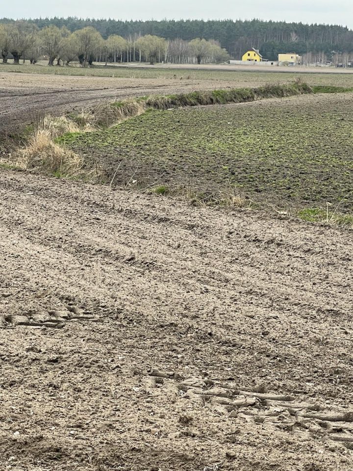 Działka rolno-budowlana Sienno. Zdjęcie 12