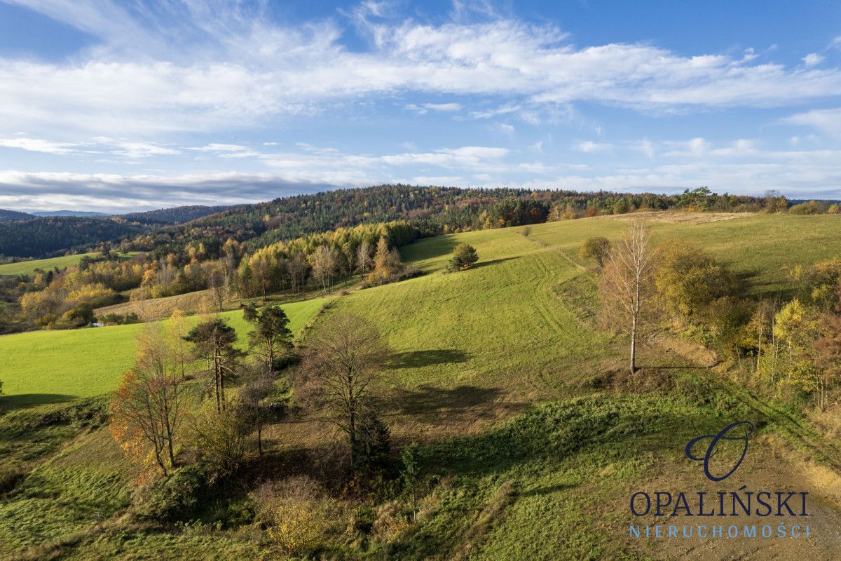Działka inwestycyjna Kiełczawa. Zdjęcie 18