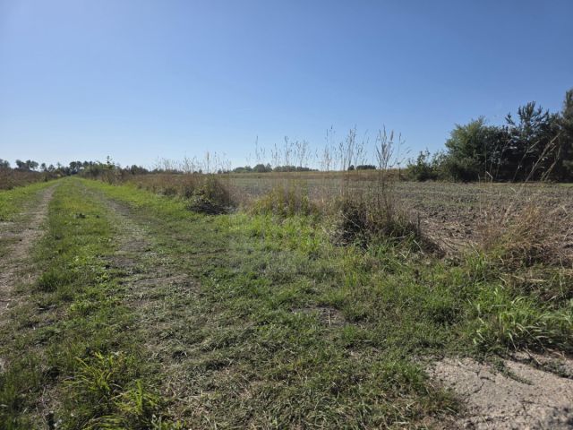 Działka budowlana Nowe Faszczyce. Zdjęcie 18