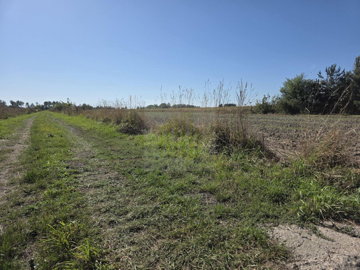 Działka budowlana Nowe Faszczyce. Zdjęcie 18