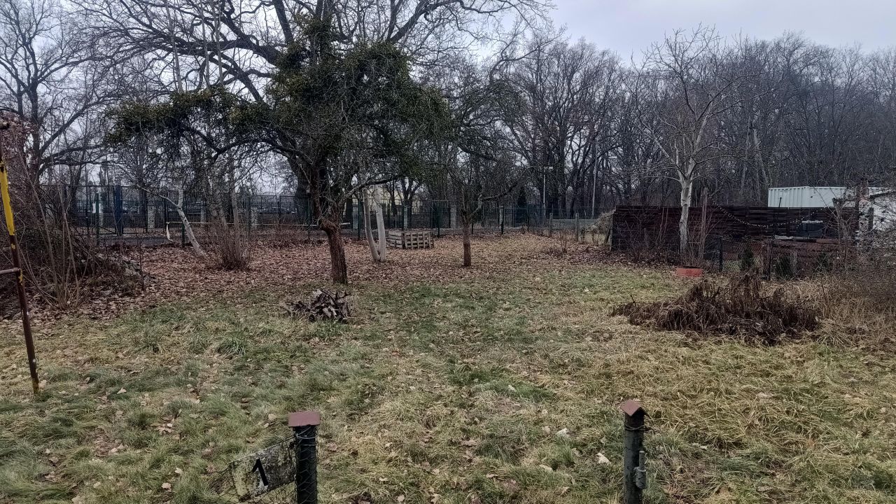 Działka rod Wrocław, ul. Irysowa. Zdjęcie 5