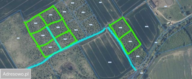 Działka rolna Będargowo. Zdjęcie 1