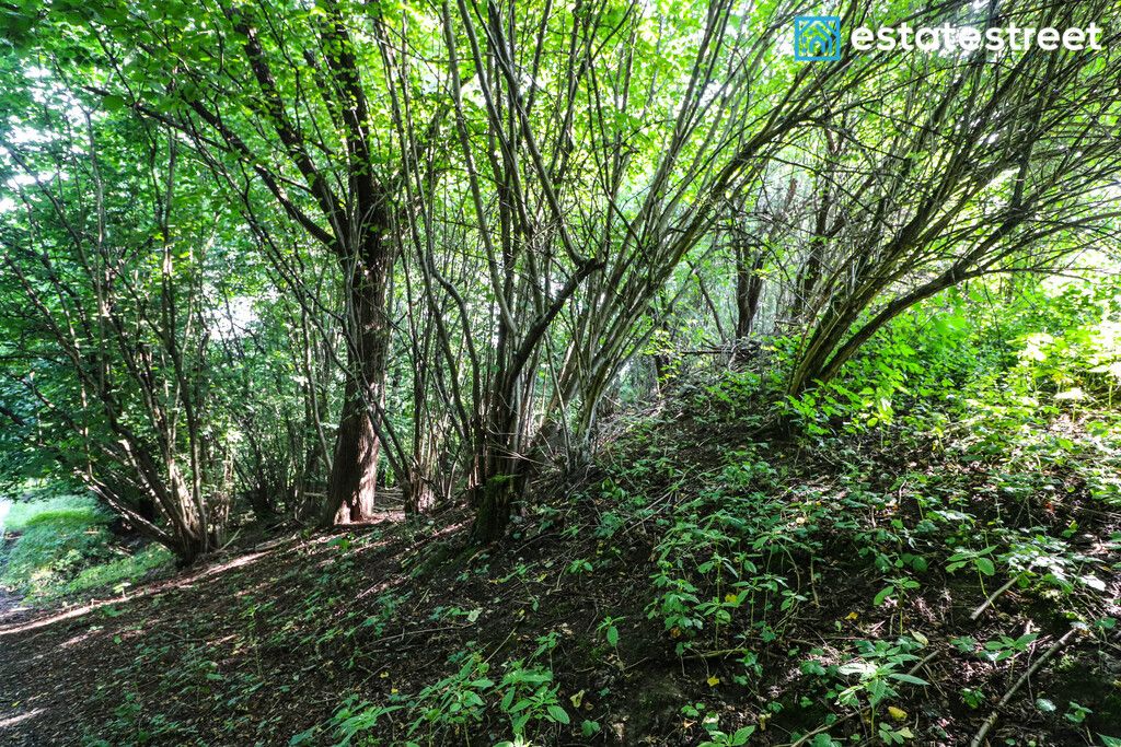 Działka budowlana Nielepice. Zdjęcie 5