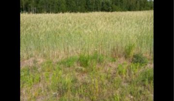 Działka rolno-budowlana Stanisławów, ul. Sokólska