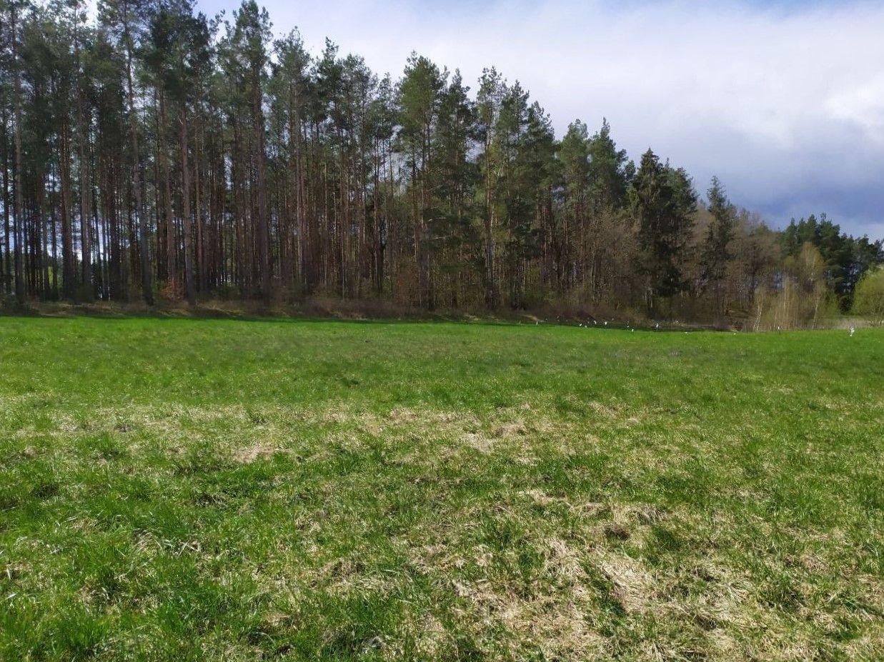 Działka budowlana Jałowiec, ul. Łąki. Zdjęcie 20