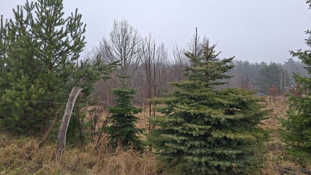 Działka budowlana Różnowo. Zdjęcie 1