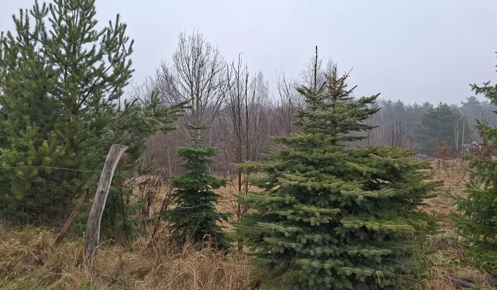 Działka budowlana Różnowo