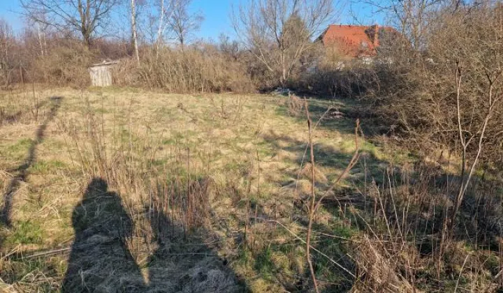 Działka budowlana Wołomin Lipiny B