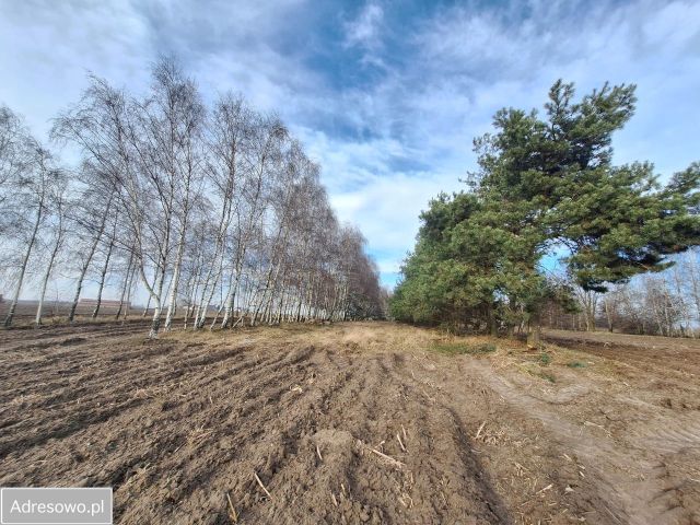 Działka rolna Nowiny. Zdjęcie 1