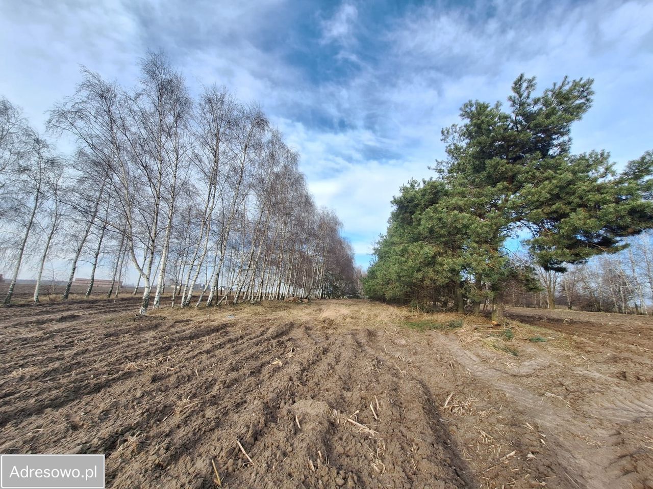 Działka rolna Nowiny