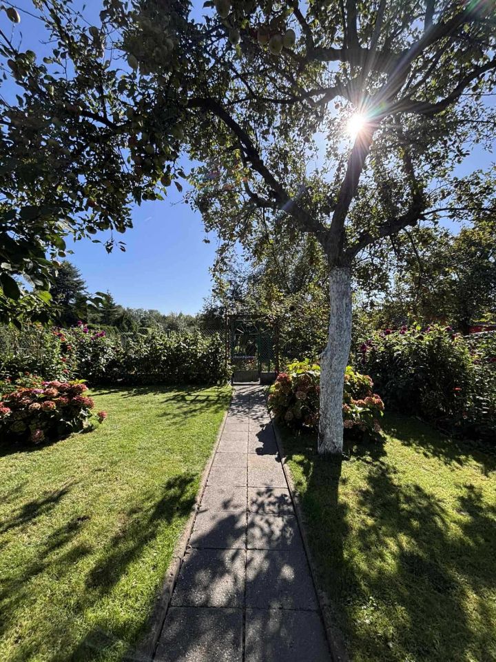 Działka rod Siemianowice Śląskie Bytków. Zdjęcie 7