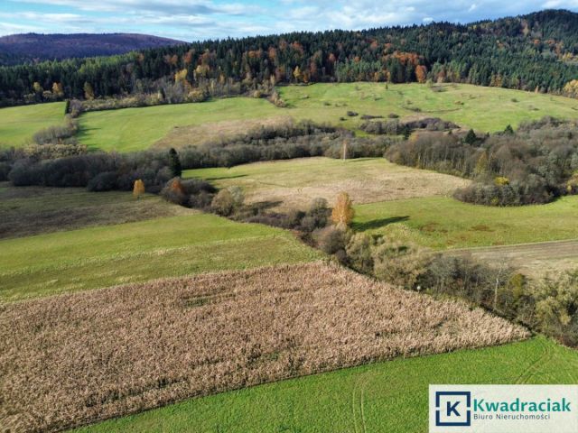 Działka rolna Daliowa. Zdjęcie 8