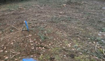 Działka rolno-budowlana Ruda-Pniewnik