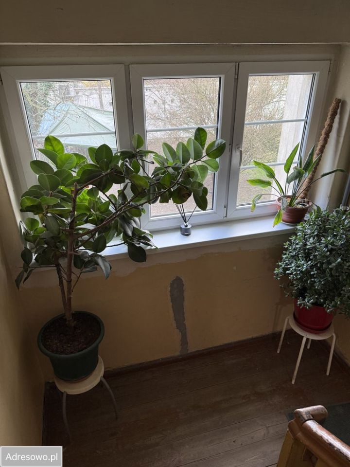 Mieszkanie 3-pokojowe Wrocław Biskupin, ul. Karola Olszewskiego. Zdjęcie 5