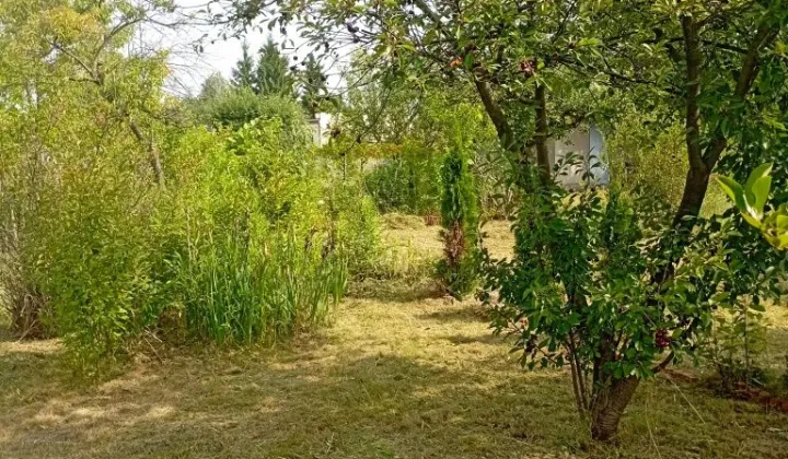 Działka rod Wrocław Stare Miasto, ul. Klecińska