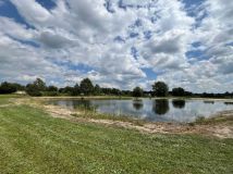 Działka rolna Olszanica. Zdjęcie 3