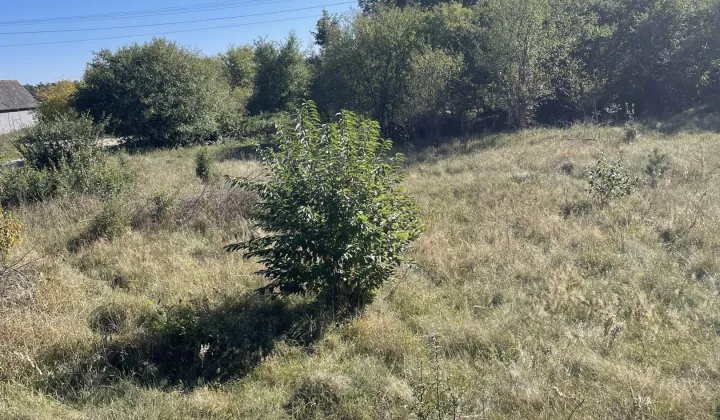 Działka budowlana Żagno, Dębowa