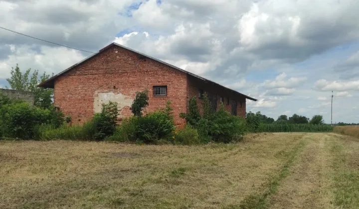 Hala/magazyn Jakubowice