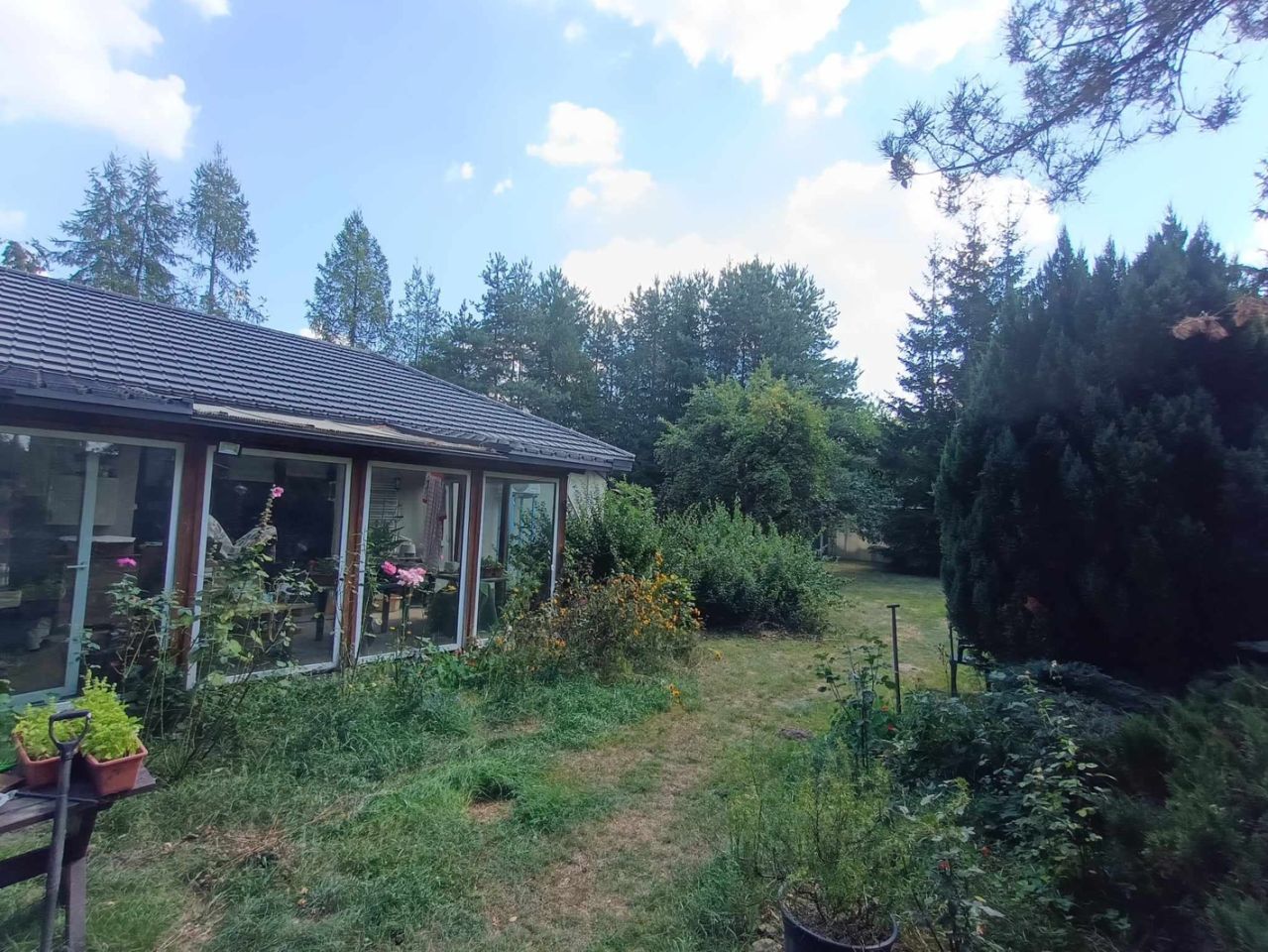 dom wolnostojący, 5 pokoi Budy Michałowskie. Zdjęcie 6