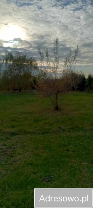 Działka budowlana Zemborzyce Wojciechowskie. Zdjęcie 4