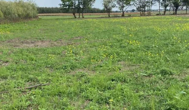 Działka budowlana Nowa Wieś, ul. Wiśniowa