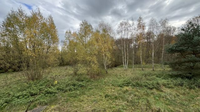 dom wolnostojący, 10 pokoi Czernica. Zdjęcie 10