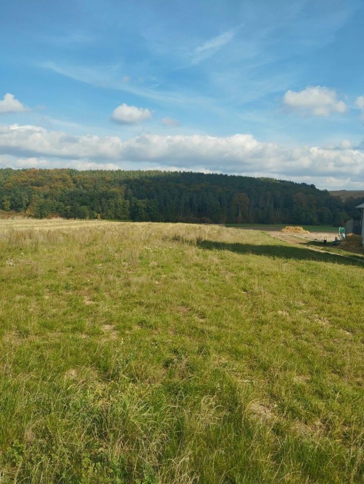Działka rolna Grzegorzowice. Zdjęcie 2