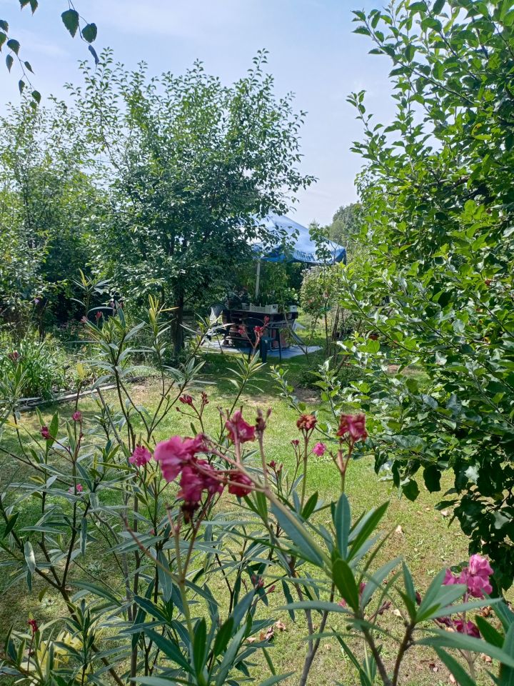 Działka rekreacyjna Wrocław Bierdzany, ul. Nizinna. Zdjęcie 6