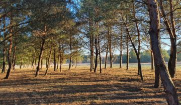 Działka budowlana Skarbka Bidzińszczyzna