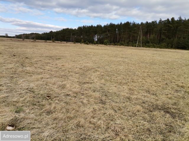 Działka rolna Ruda. Zdjęcie 1