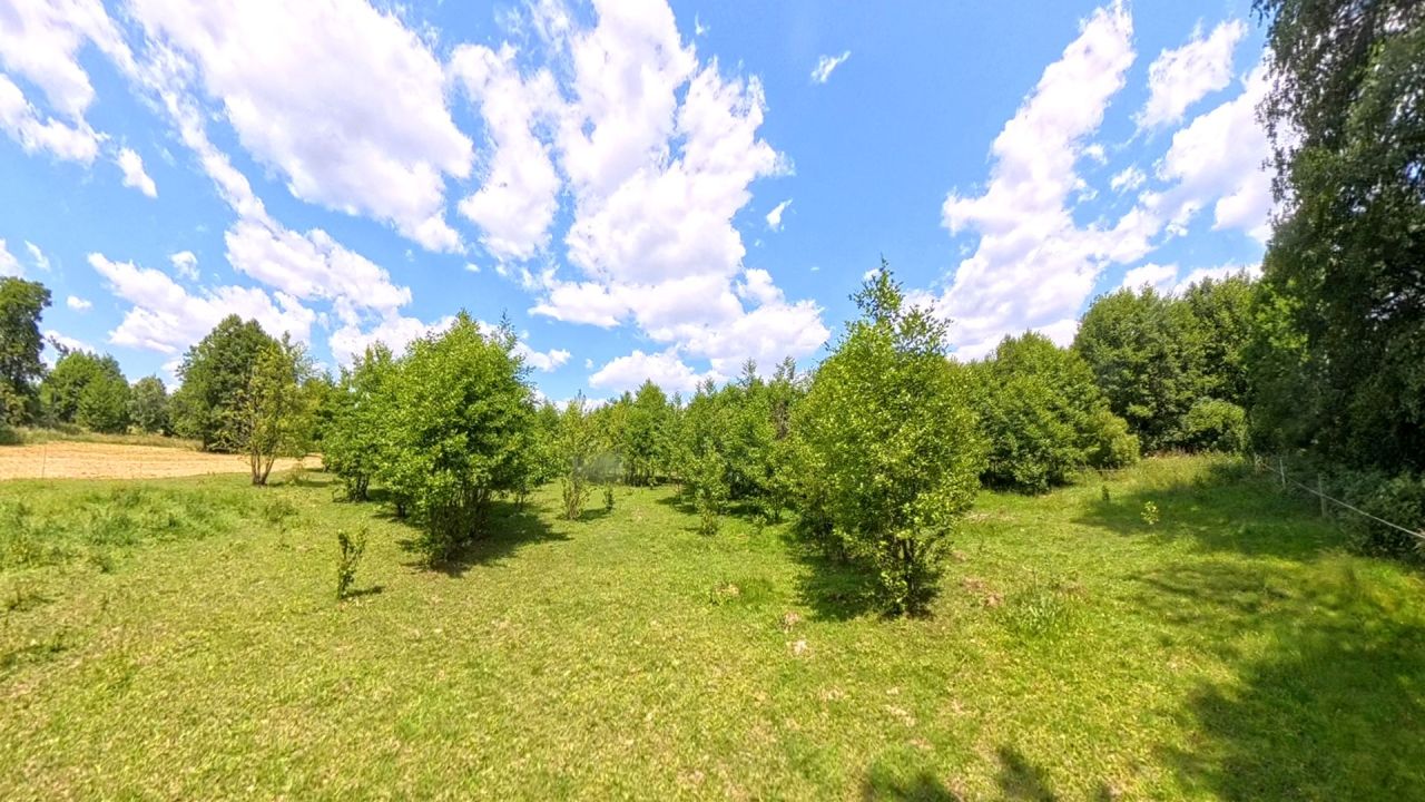 Działka rolno-budowlana Trzebuska. Zdjęcie 4