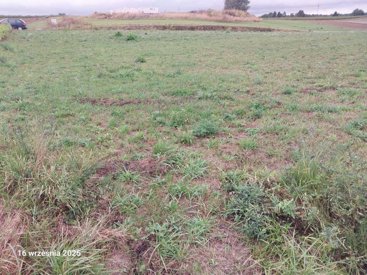 Działka rolno-budowlana Sieprawice. Zdjęcie 3